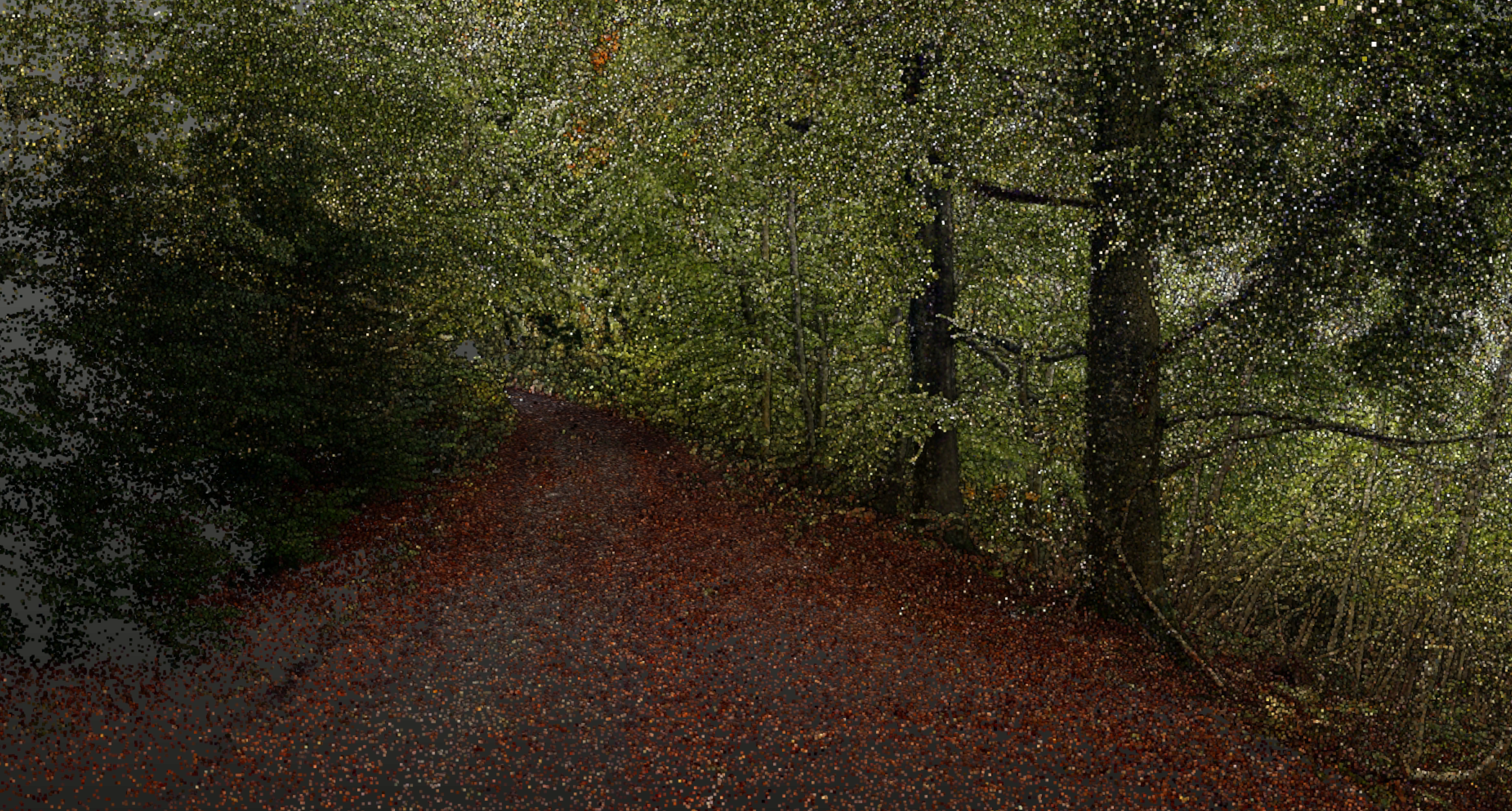 Revolutionising Woodland Structural Mapping with the CHCNAV RS10