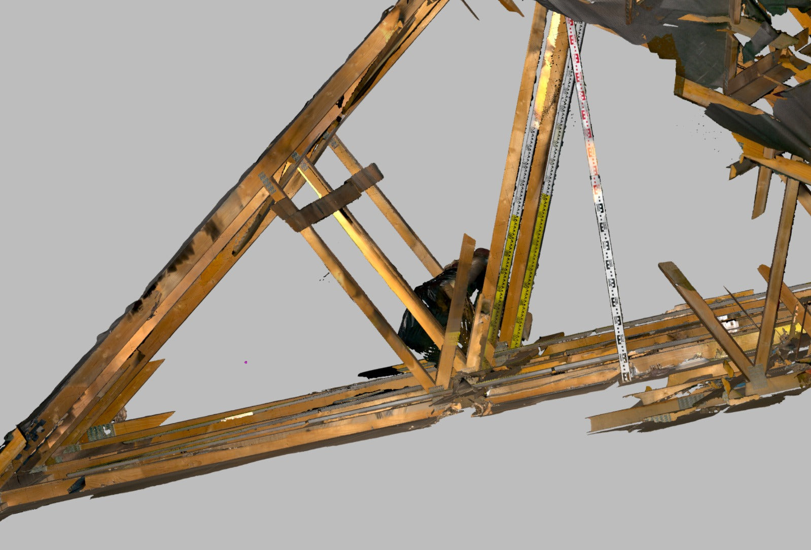 Why Custom Survey Solutions Make All the Difference – A Case Study with ecoTrus